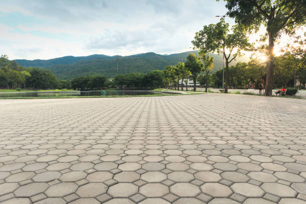 Best Interlocking Driveway Pavers  in Highlandville, MO