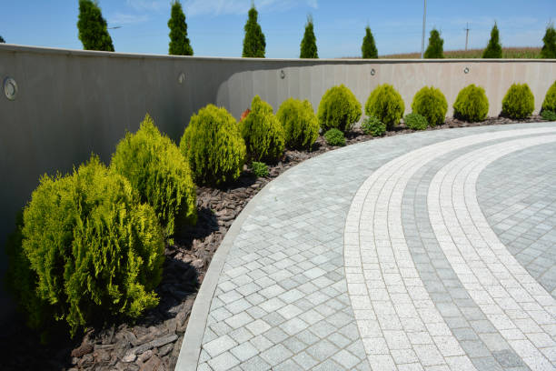 Best Brick Driveway Pavers  in Highlandville, MO